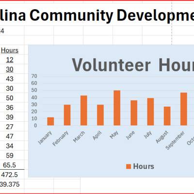 Volunteer Hours 2024